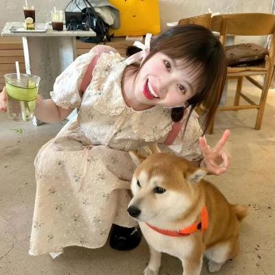 乱码迷局