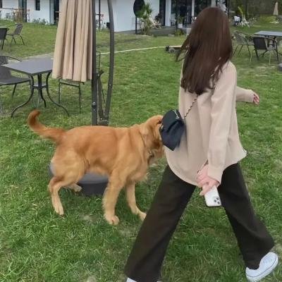 秦始皇